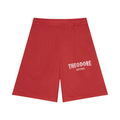 Unisex Mesh Basketball Shorts