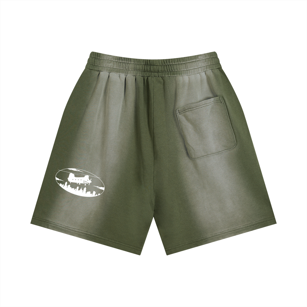 Sun Fade Distressed Shorts